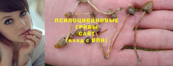 первитин Алексеевка
