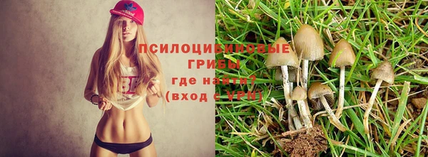 экстази Алзамай