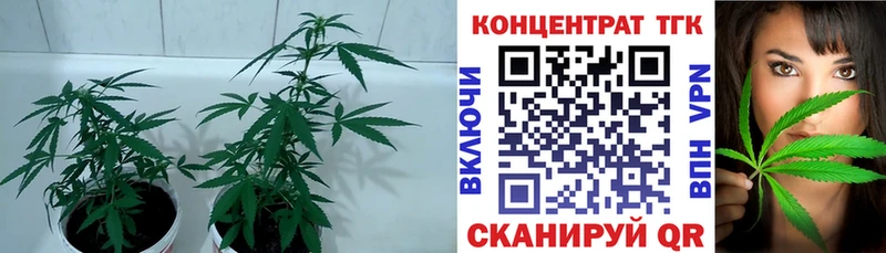 как найти закладки  Коркино  ТГК THC oil 