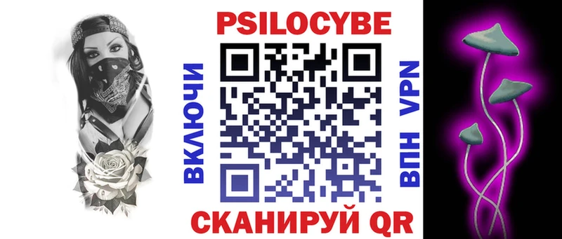 магазин Коркино Псилоцибиновые грибы Psilocybe